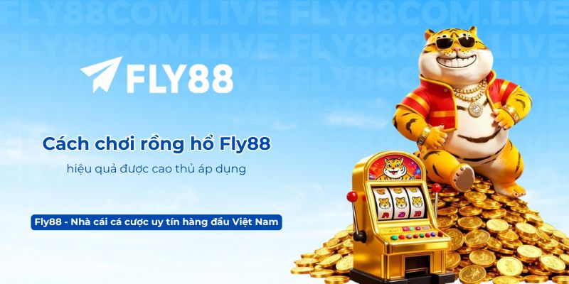 Cách chơi rồng hổ Fly88 hiệu quả được cao thủ áp dụng