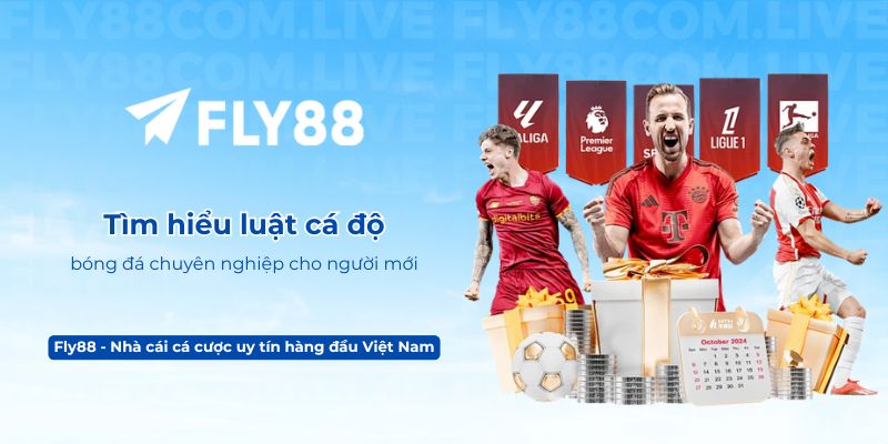 Tìm hiểu luật cá độ bóng đá chuyên nghiệp cho người mới